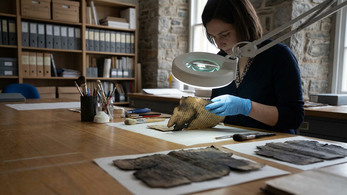 Charting Lives: Discovering Records from the 1890 Census Fire